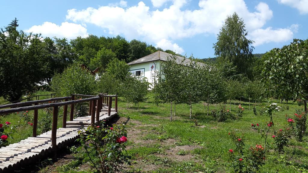 Activ Parc Hotel Negresti Exterior foto